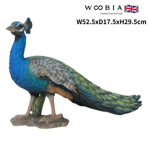 u NWN  29.5cm woobia E[rA 傫 킢  K[f CeA IuWF   v[g k  G  _ ʔ  Mtg O  A 