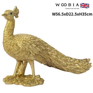 u NWN S[h   F N 35cm woobia E[rA 傫 킢  K[f CeA IuWF   v[g k  G  _ ʔ  M