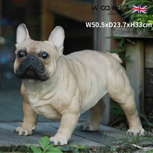 u t`EuhbO  Ck  33cm woobia E[rA 傫 킢  K[f CeA IuWF   v[g k  G  _ ʔ  Mtg