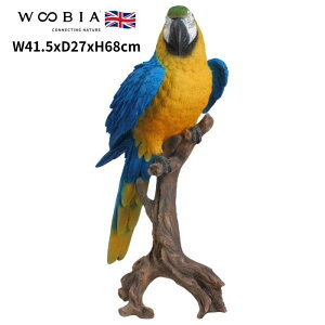 u ؂芔ɂƂ܂RSECR u[   68cm woobia E[rA 傫 킢  K[f CeA IuWF   v[g k  G  _ 