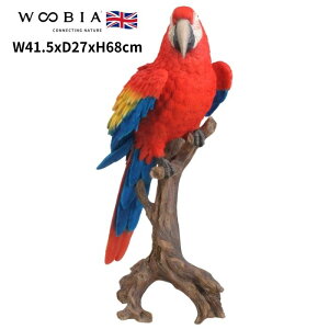 u ؂芔ɂƂ܂RSECR   68cm woobia E[rA 傫 킢  K[f CeA IuWF   v[g k  G  _ ʔ  