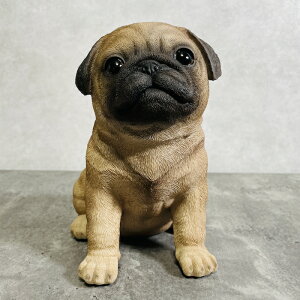 킢  u  pO    gC 蕨  CeA K[fI[ig ֐  G v[g Mtg K[fjO