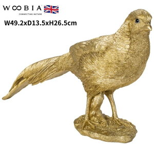 u LPC S[h  F N 35cm woobia E[rA 傫 킢  K[f CeA IuWF   v[g k  G  _ ʔ  Mt