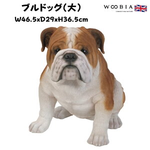 u uhbO   ObY 36.5cm woobia E[rA 傫 킢  K[f CeA IuWF   v[g k  G  _ ʔ  Mtg O 