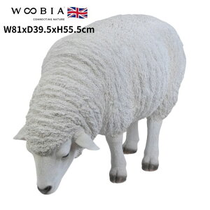 u aTr  55.5cm woobia E[rA 傫 킢  K[f CeA IuWF   v[g k  G  _ ʔ  Mtg O  A