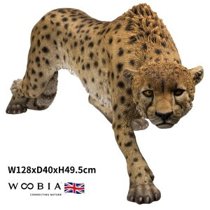 u `[^[  49.5cm woobia E[rA 傫 킢  K[f CeA IuWF   v[g k  G  _ ʔ  Mtg O  A