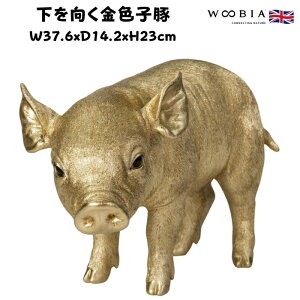 u Fq S[h F N 23cm woobia E[rA 傫 킢  K[f CeA IuWF   v[g k  G  _ ʔ  