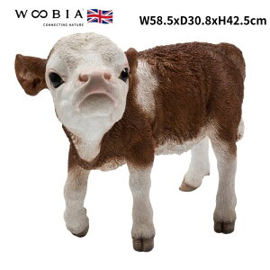 u グq 42.5cm woobia E[rA 傫 킢  K[f CeA IuWF   v[g k  G  _ ʔ  Mtg O  A 