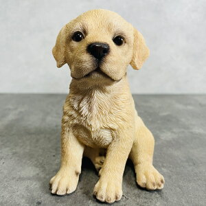 킢̒u グ uh[go[    gC 蕨  CeA K[fI[ig ֐  G v[g Mtg K[fjO