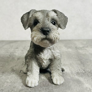 킢  u ViEU[    gC 蕨  CeA K[fI[ig ֐  G v[g Mtg K[fjO