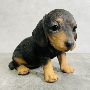 킢  u ~j`A_bNXth    gC 蕨  CeA K[fI[ig ֐  G v[g Mtg K[fjO