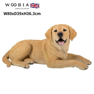 u Ԃ uh[ go[   36.3cm woobia E[rA 傫 킢  K[f CeA IuWF   v[g k  G  _ ʔ