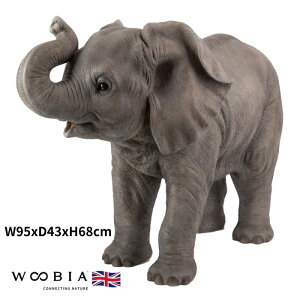 u @グ]E   68cm woobia E[rA 傫 킢  K[f CeA IuWF   v[g k  G  _ ʔ  Mtg O  