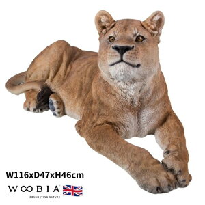 u 胁XCI  46cm woobia E[rA 傫 킢  K[f CeA IuWF   v[g k  G  _ ʔ  Mtg O  