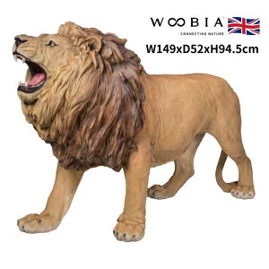 u i郉CI  94.5cm woobia E[rA 傫 킢  K[f CeA IuWF  v[g k  G  _ ʔ  Mtg O  A 