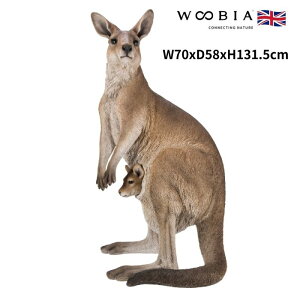 u JK[̐eq 131.5cm woobia E[rA 傫 킢  K[f CeA IuWF   v[g k  G  _ ʔ  Mtg O  A