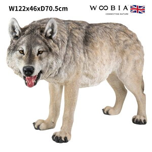 u UIIJ~  70.5cm woobia E[rA 傫 킢  K[f CeA IuWF   v[g k  G  _ ʔ  Mtg O  