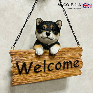 킢  u EFJ{[h 悤  woobia E[rA Ck  K[f CeA gC IuWF  v[g k  G  _ ʔ  Mtg O 