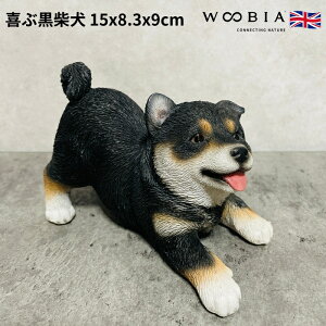 킢̒u ԍČ ObY woobia E[rA Ck  K[f CeA gC IuWF  v[g k  G  _ ʔ  Mtg O  A 