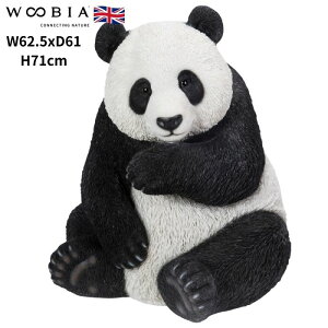 u ߂p_  71cm woobia E[rA 傫 킢  K[f CeA IuWF   v[g k  G  _ ʔ  Mtg O  A