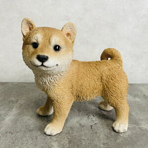 킢 ̒u Č    gC 蕨  CeA K[fI[ig ֐  G v[g Mtg K[fjO