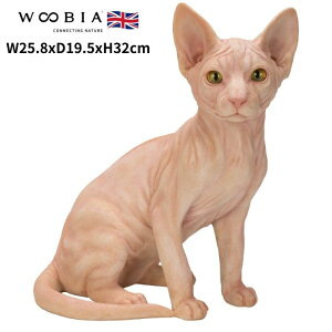 u XtBNX 32cm woobia E[rA 傫 킢  K[f CeA IuWF   v[g k  G  _ ʔ  Mtg O  A