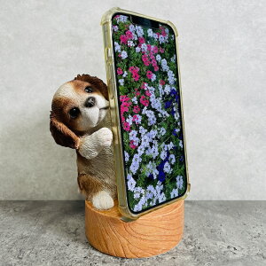 X}zX^h LoA  Ck   Aj} X}zz_[  v[g Mtg 蕨 u  A Aj}IuWF CeA 킢  K[fI[i