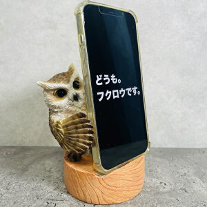 X}zX^h ~~YN tNE   Aj} X}zz_[  v[g Mtg 蕨 u  A Aj}IuWF CeA 킢 K[fI[i