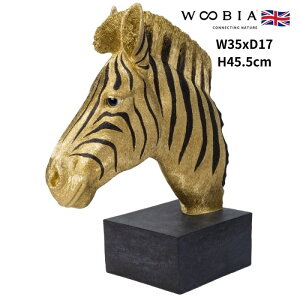 u V}E}̃IuWF n 45.5cm F S[h N  woobia E[rA 傫 킢  K[f CeA IuWF   v[g k  G  _