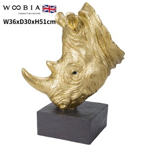 u TC̃IuWF 51cm F S[h N  woobia E[rA 傫 킢  K[f CeA IuWF   v[g k  G  _ ʔ 