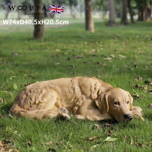 u Ԃgo[ 20.5cm woobia E[rA 傫 킢  K[f CeA IuWF   v[g k  G  _ ʔ  Mtg O  