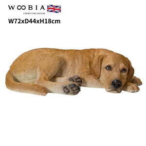 u Ԃuh[Ego[ 18cm woobia E[rA 傫 킢  K[f CeA IuWF   v[g k  G  _ ʔ  Mt