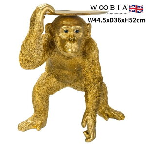 u S[h`pW[̃g[ 52cm u N F woobia E[rA 傫 킢  K[f CeA IuWF   v[g k  G  _