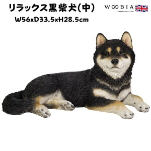 u bNXČ  ObY 28.5cm woobia E[rA 傫 킢  K[f CeA IuWF   v[g k  G  _ ʔ  Mtg 