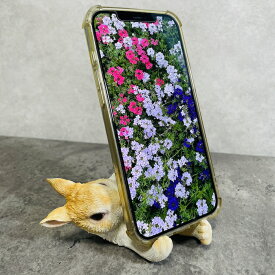スマホスタンド うさぎ 兎 動物 卓上 アニマル スマホホルダー おしゃれ プレゼント ギフト 贈り物 置物 可愛い リアル アニマルオブジェ インテリア かわいい ガーデンオーナメント 玄関先 庭 雑貨 写真立て