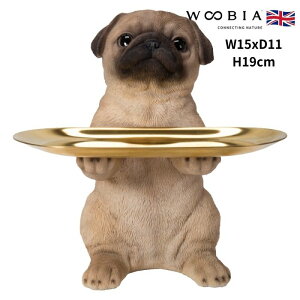 u pȌu O\ Ck  19cm woobia E[rA 傫 킢  K[f CeA IuWF  v[g k  G  _ ʔ  Mtg 