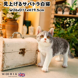 u グTogL lR 19.5cm woobia E[rA 傫 킢  K[f CeA IuWF   v[g k  G  _ ʔ  Mtg 