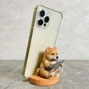 X}zX^h ^ubgČ  Ck   Aj} X}zz_[  v[g Mtg 蕨 u  A Aj}IuWF CeA 킢  K[