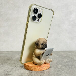 X}zX^h ^ubgpO  Ck   Aj} X}zz_[  v[g Mtg 蕨 u  A Aj}IuWF CeA 킢  K[