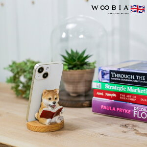 X}zX^h {ǂłČ woobia E[rA  Ck   Aj} X}zz_[  v[g Mtg 蕨 u  A Aj}IuWF CeA 킢