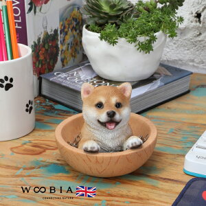 킢  u Č}OlbgNbv  woobia E[rA Ck  K[f CeA gC IuWF  v[g k  G  _ ʔ  Mtg 