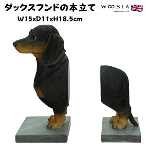 ȃ_bNXth̖{ ObY ubNX^h ubNGh woobia E[rA ʔ u 傫 ^  K[f CeA gC IuWF  v[g k 