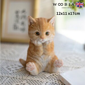 킢L̒u jgL 17cm woobia E[rA  K[f CeA gC IuWF  v[g k  G  _ ʔ  Mtg O  A