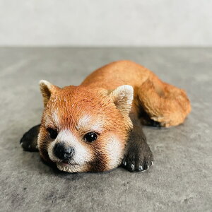 킢 u bT[p_ Jbvt^    gC 蕨  CeA K[fI[ig ֐  G v[g Mtg K[fjO