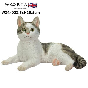 u QׂTogL lR 19.5cm woobia E[rA 傫 킢  K[f CeA IuWF   v[g k  G  _ ʔ  Mtg 