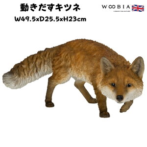 u Lcl ՃObY 23cm woobia E[rA 傫 킢  K[f CeA IuWF   v[g k  G  _ ʔ  Mtg O 