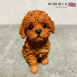 킢  u グv[h woobia E[rA Ck  K[f CeA gC IuWF  v[g k  G  _ ʔ  Mtg O  A 