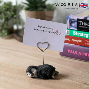 X^h yM woobia E[rA 킢Nbv 蕨 u  A CeA   G v[g Mtg z_[