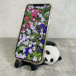 X}zX^h p_   Aj} X}zz_[  v[g Mtg 蕨 u  A Aj}IuWF CeA 킢 K[fI[ig ֐  