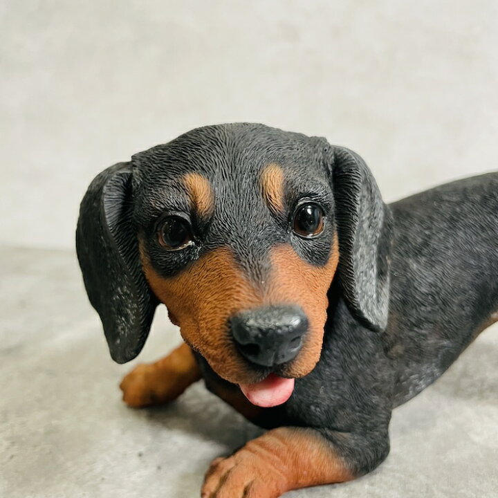 楽天市場】かわいい 犬 置物 じゃれる ミニチュアダックスフンド 玄関 